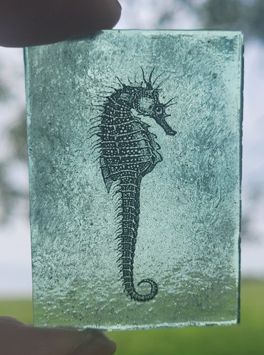 Stained glass seahorse - glass,