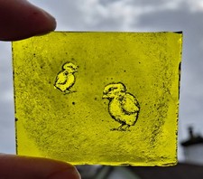 Stained Glass chicks kiln